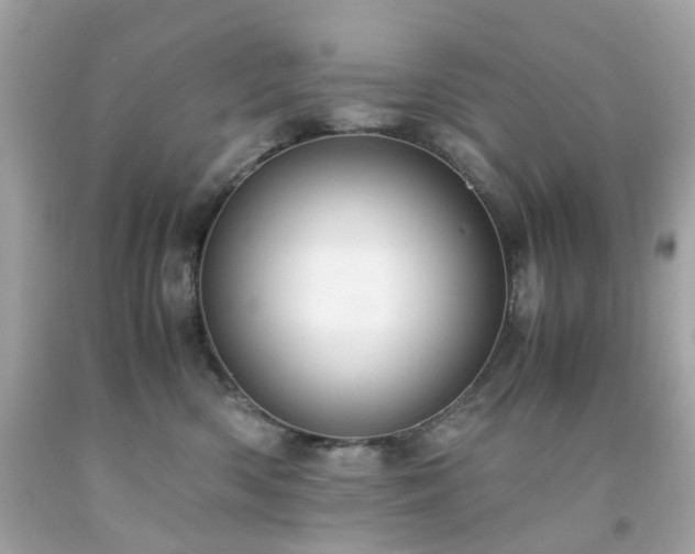 X0000091940426200709121623