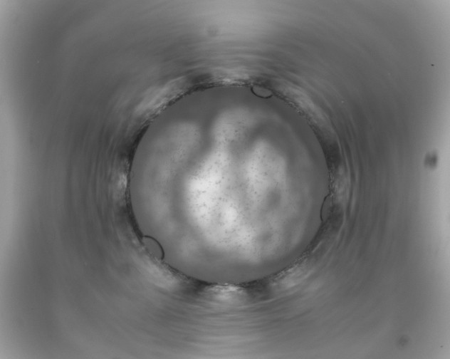 X0000091940427200709121623