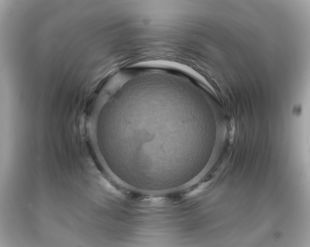 X0000091940428200709121623