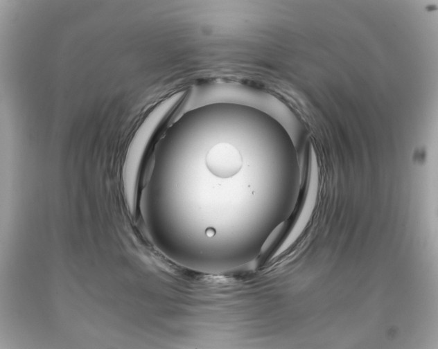 X0000091940429200709121623