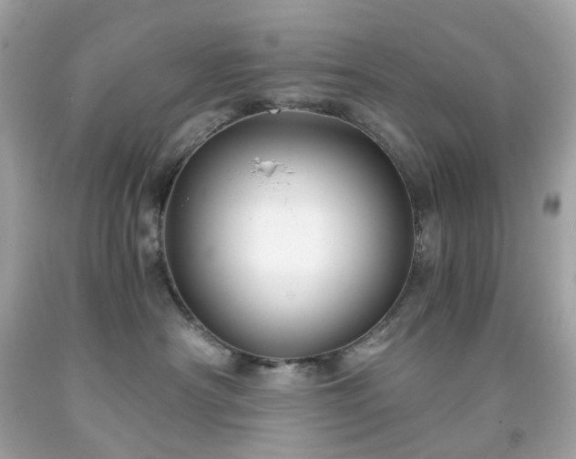 X0000091940430200709121623