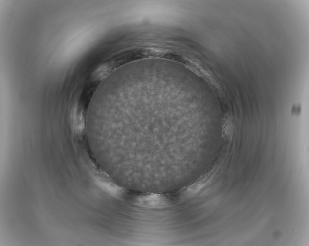 X0000091940431200709121623