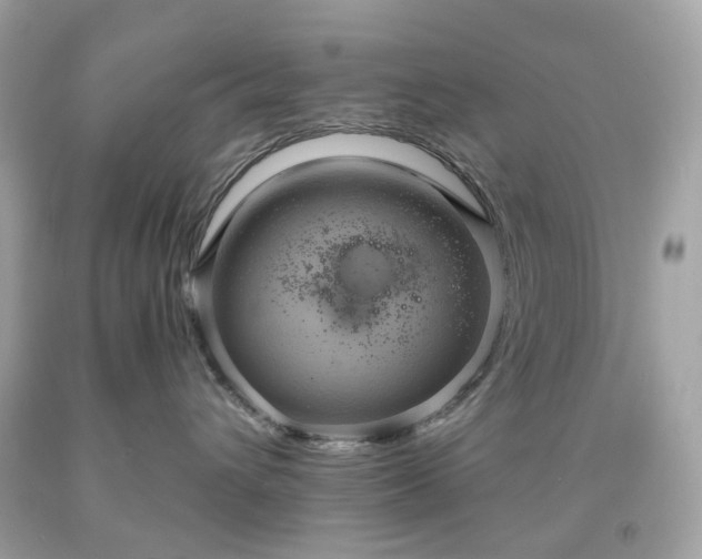 X0000091940432200709121623