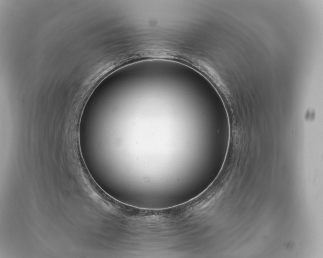 X0000091940433200709121622