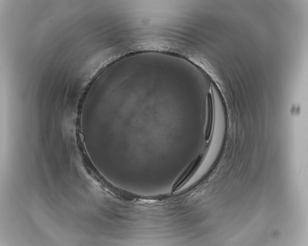 X0000091940434200709121622