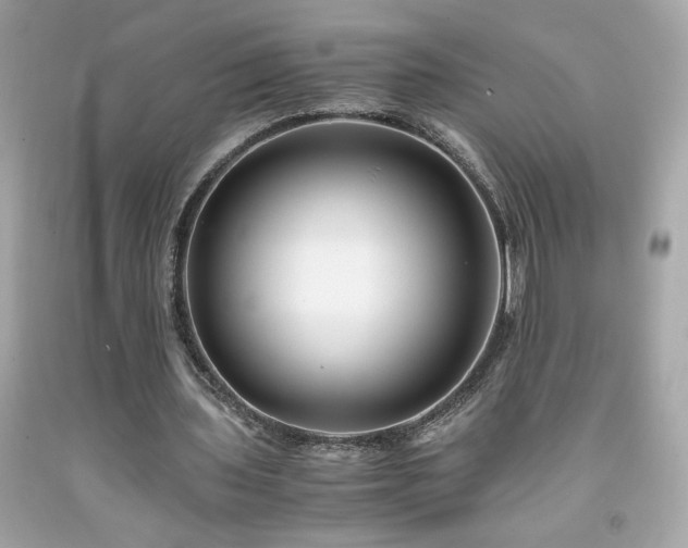 X0000091940435200709121622