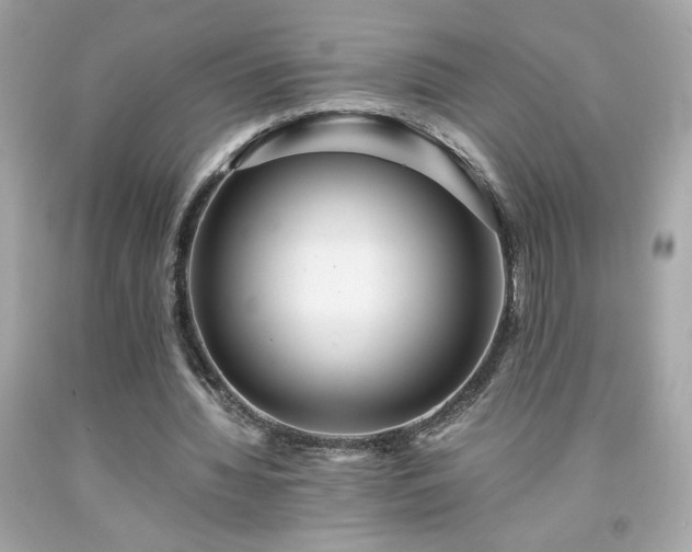 X0000091940436200709121622