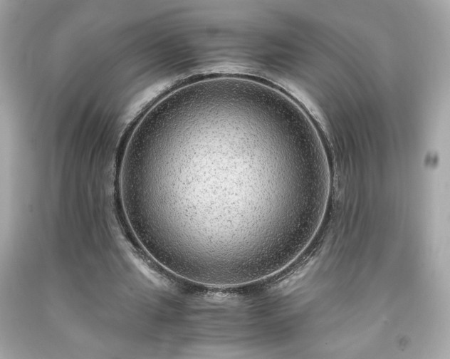 X0000091940437200709121622