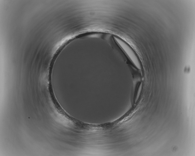 X0000091940438200709121622