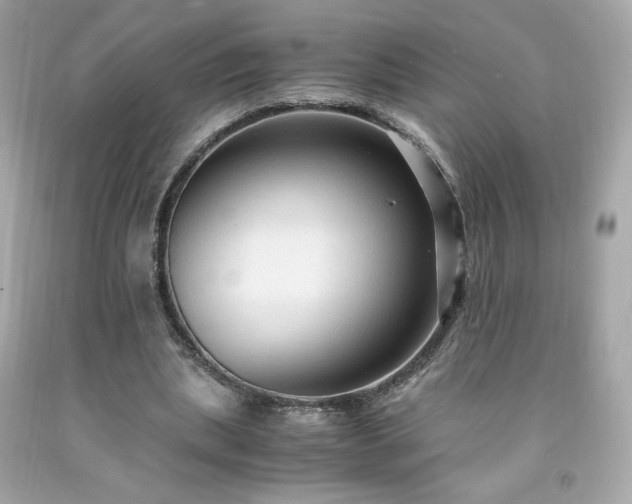 X0000091940439200709121622