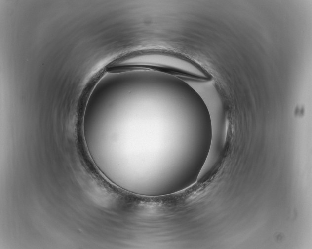 X0000091940440200709121622