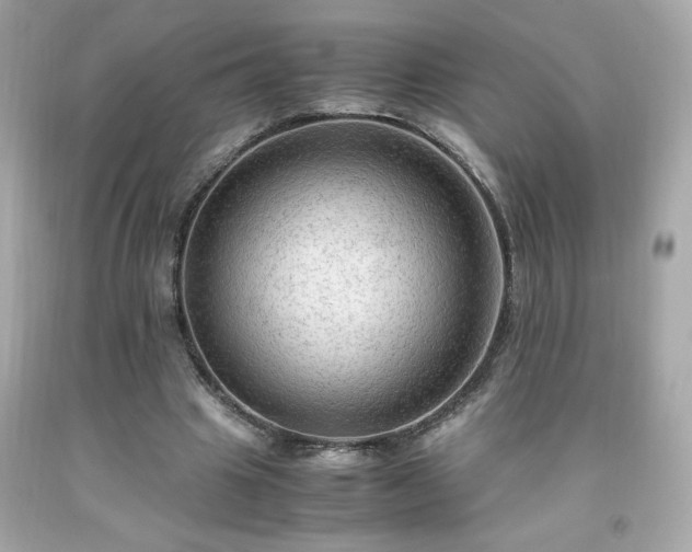 X0000091940441200709121622