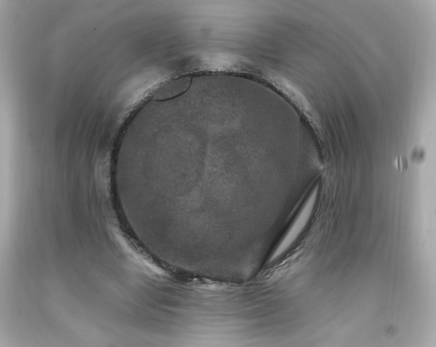 X0000091940442200709121622