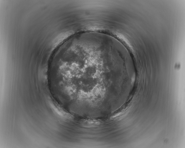 X0000091940443200709121622