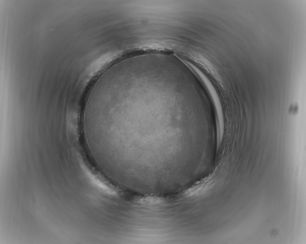 X0000091940444200709121622