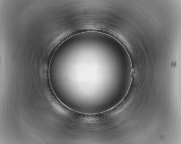 X0000091940445200709121622