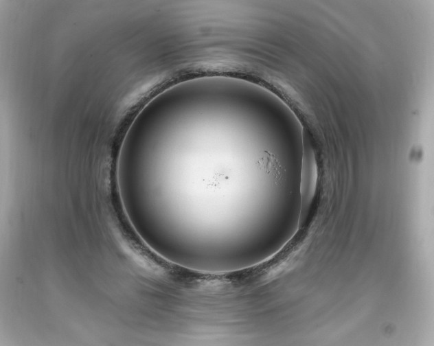 X0000091940446200709121622