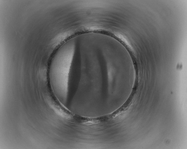 X0000091940447200709121622