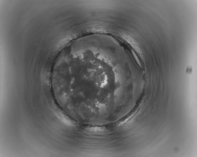 X0000091940449200709121622