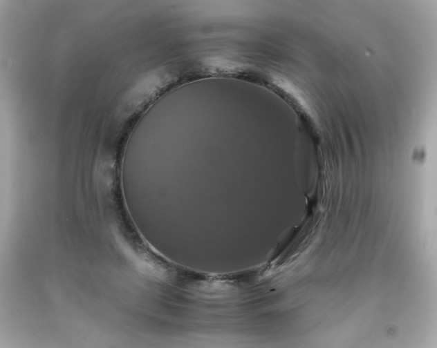 X0000091940451200709121622