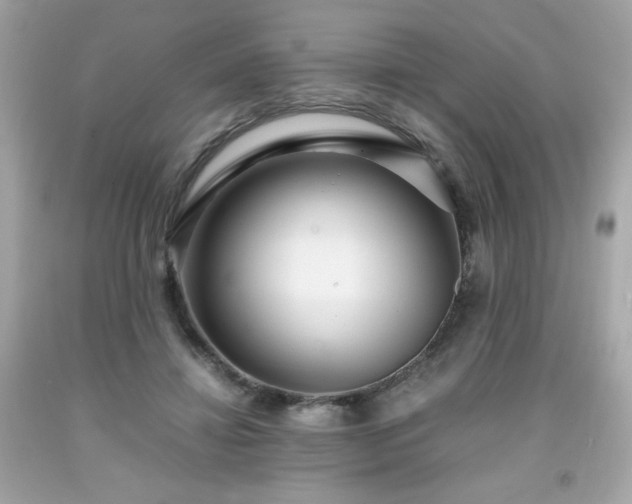 X0000091940452200709121622