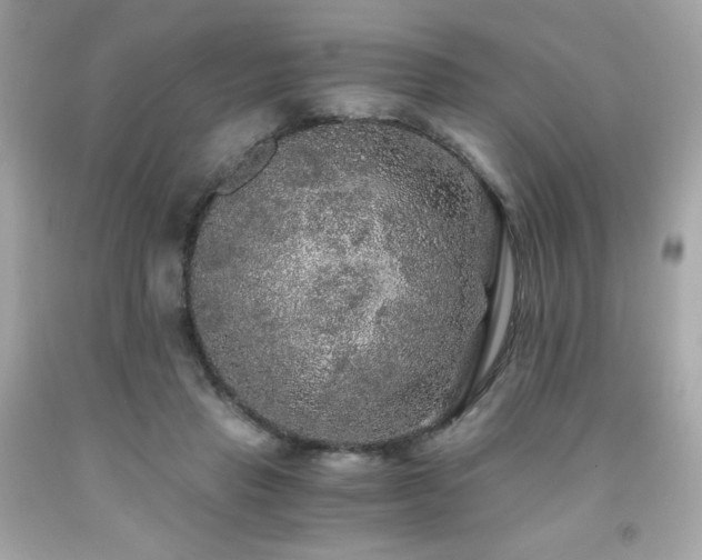 X0000091940453200709121622