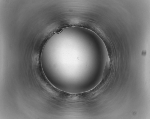 X0000091940454200709121622