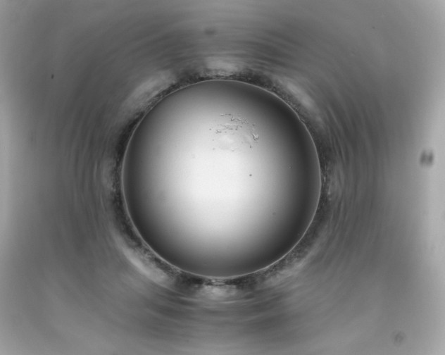 X0000091940455200709121622