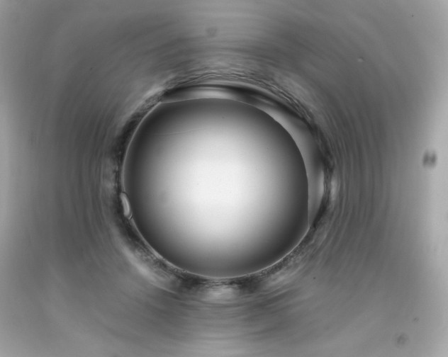 X0000091940456200709121622