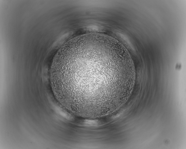 X0000091940457200709121622