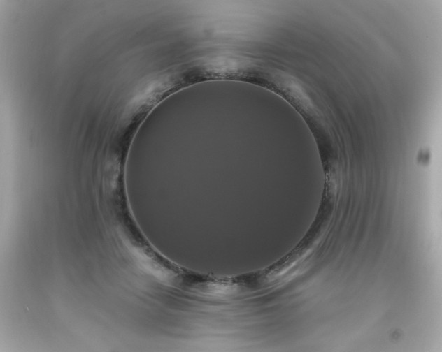 X0000091940458200709121622