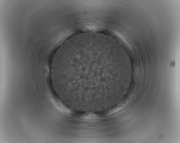 X0000091940459200709121622