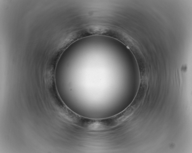 X0000091940460200709121622