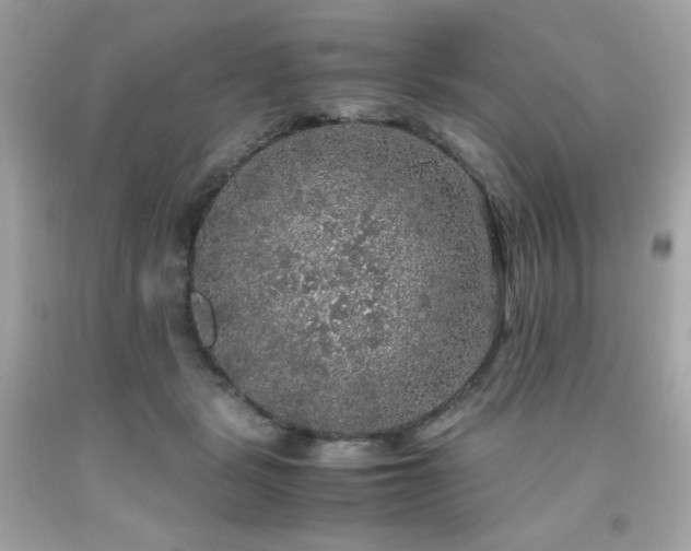 X0000091940461200709121622