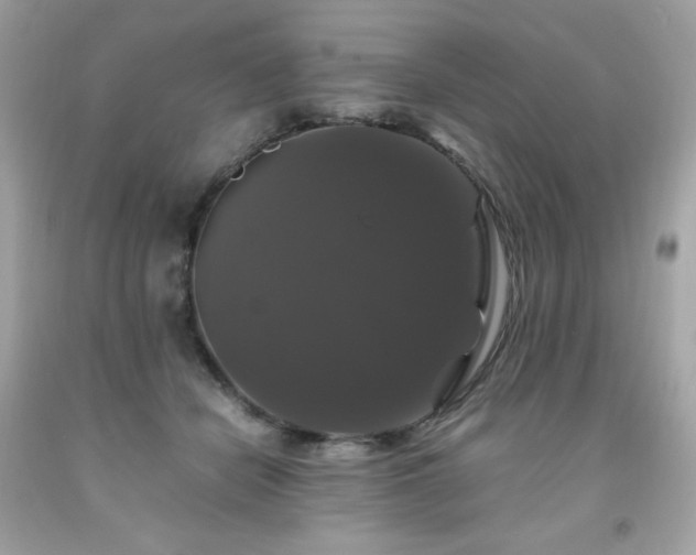 X0000091940462200709121622