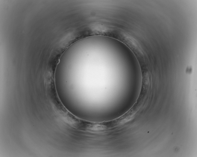 X0000091940463200709121622