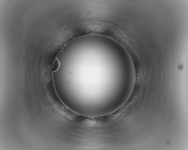 X0000091940464200709121622