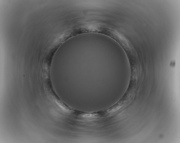 X0000091940465200709121622