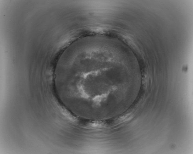 X0000091940466200709121622