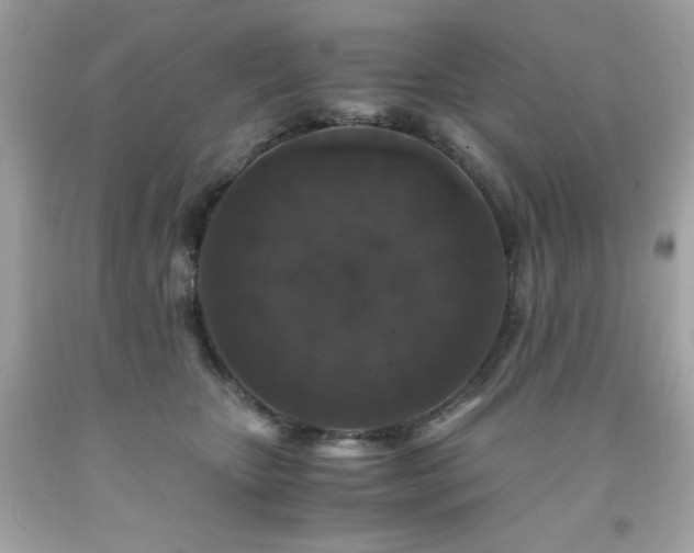 X0000091940467200709121622