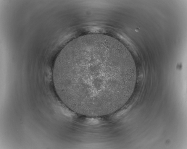 X0000091940469200709121622