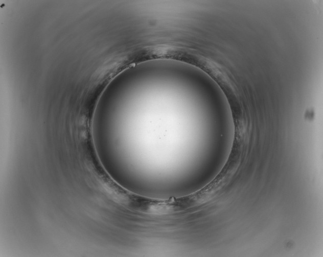 X0000091940470200709121623