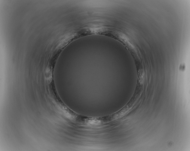 X0000091940471200709121623