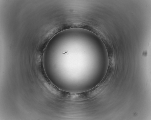 X0000091940472200709121623