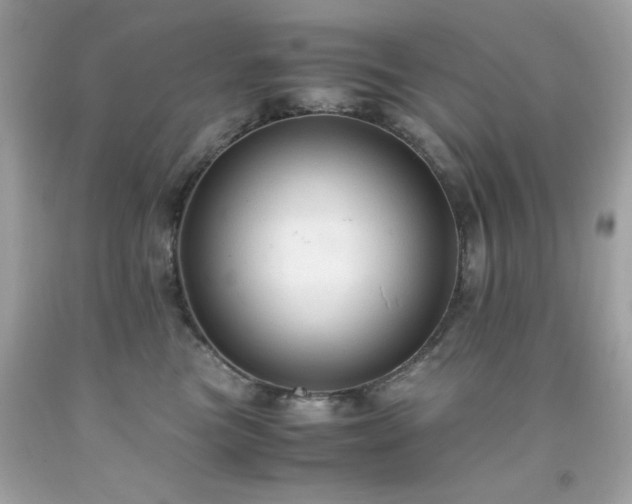 X0000091940473200709121623