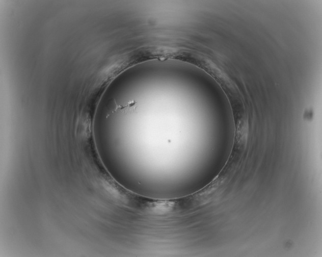 X0000091940474200709121623