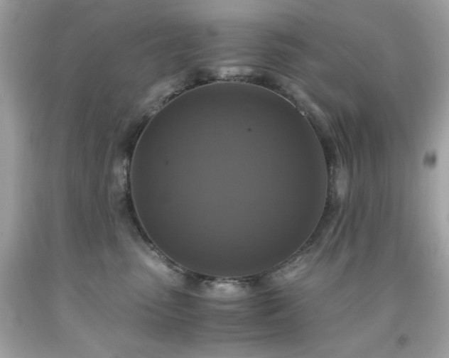 X0000091940475200709121623