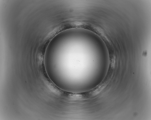 X0000091940476200709121623