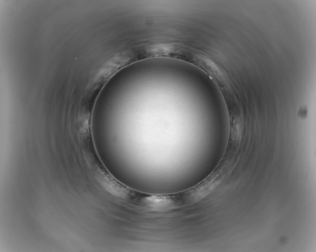 X0000091940477200709121623