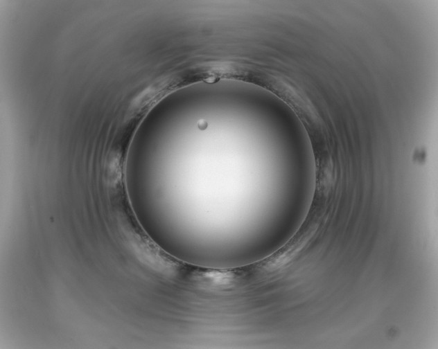 X0000091940478200709121623